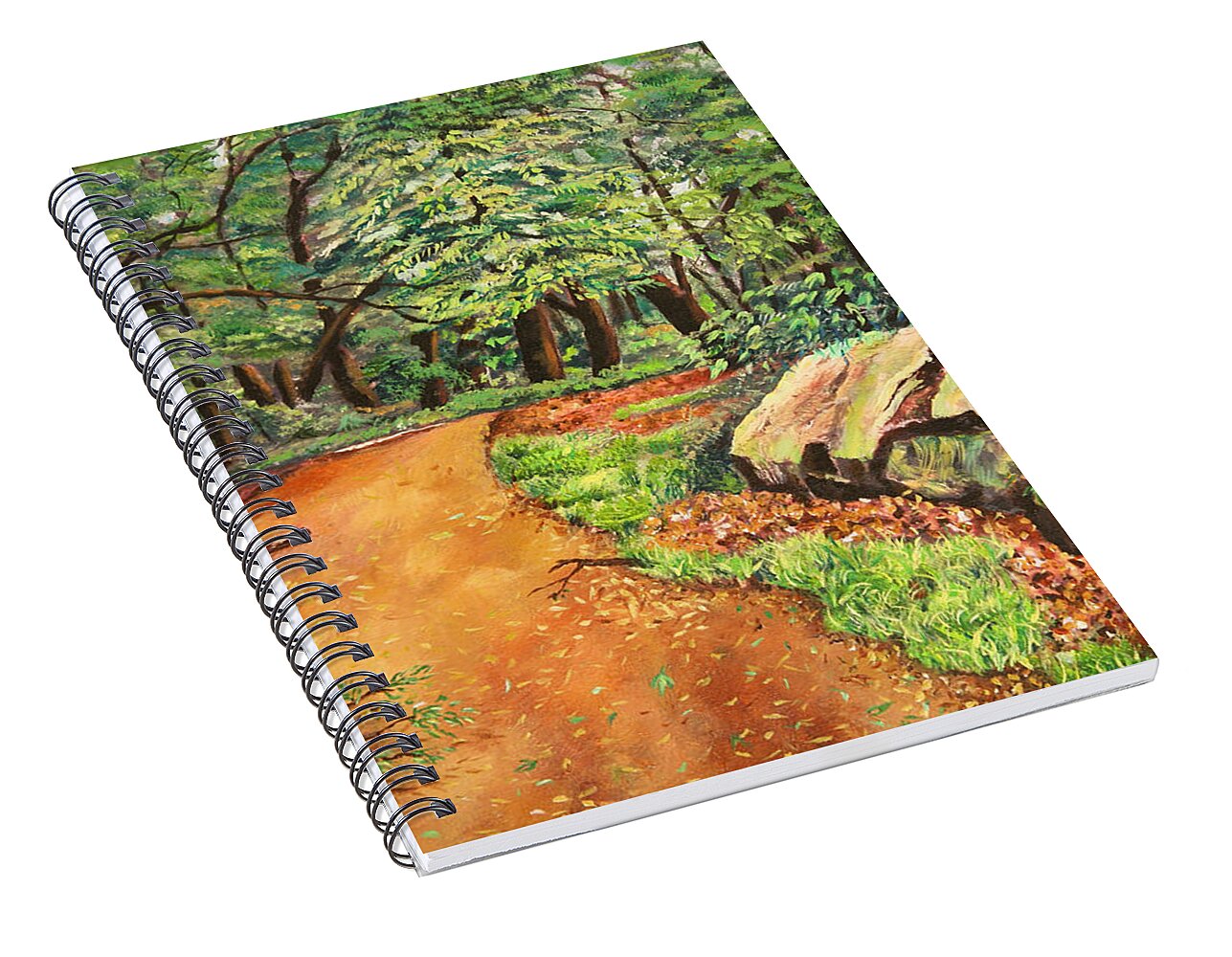 After the Rain in NJ - Spiral Notebook