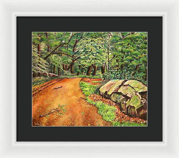 After the Rain in NJ - Framed Print