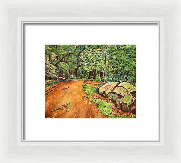 After the Rain in NJ - Framed Print