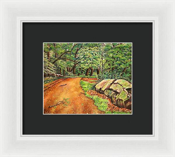 After the Rain in NJ - Framed Print