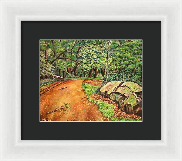 After the Rain in NJ - Framed Print