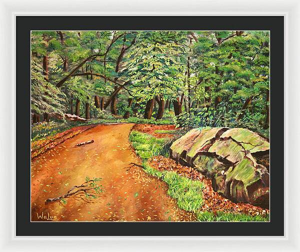 After the Rain in NJ - Framed Print