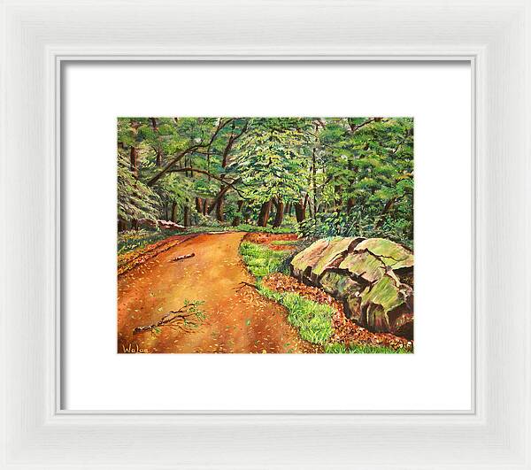 After the Rain in NJ - Framed Print