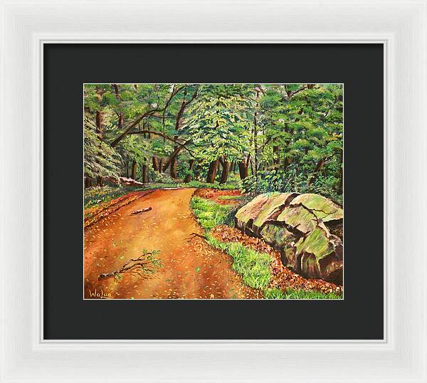 After the Rain in NJ - Framed Print