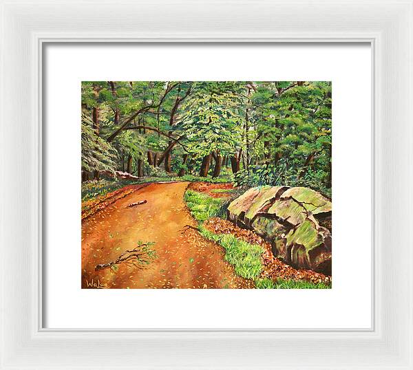 After the Rain in NJ - Framed Print