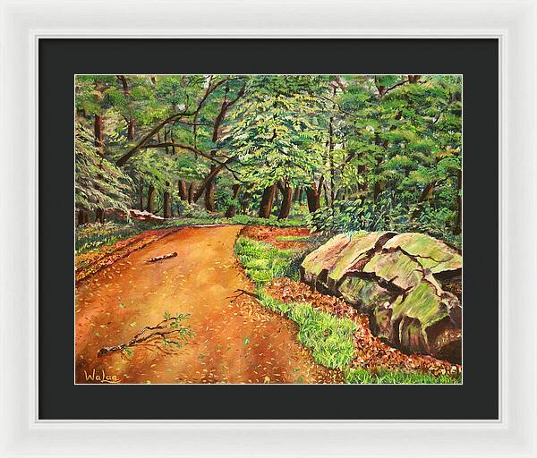 After the Rain in NJ - Framed Print