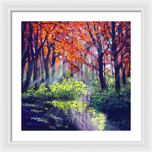 When Light Sneaks - Framed Print