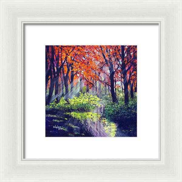 When Light Sneaks - Framed Print