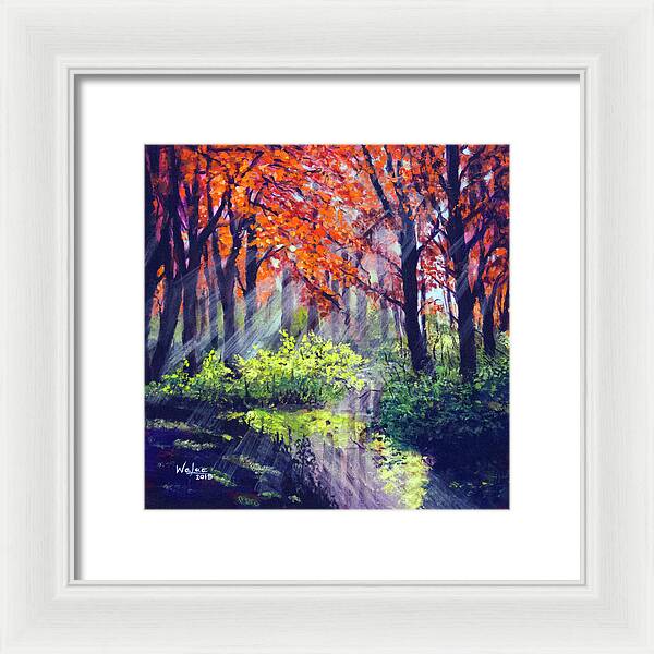 When Light Sneaks - Framed Print