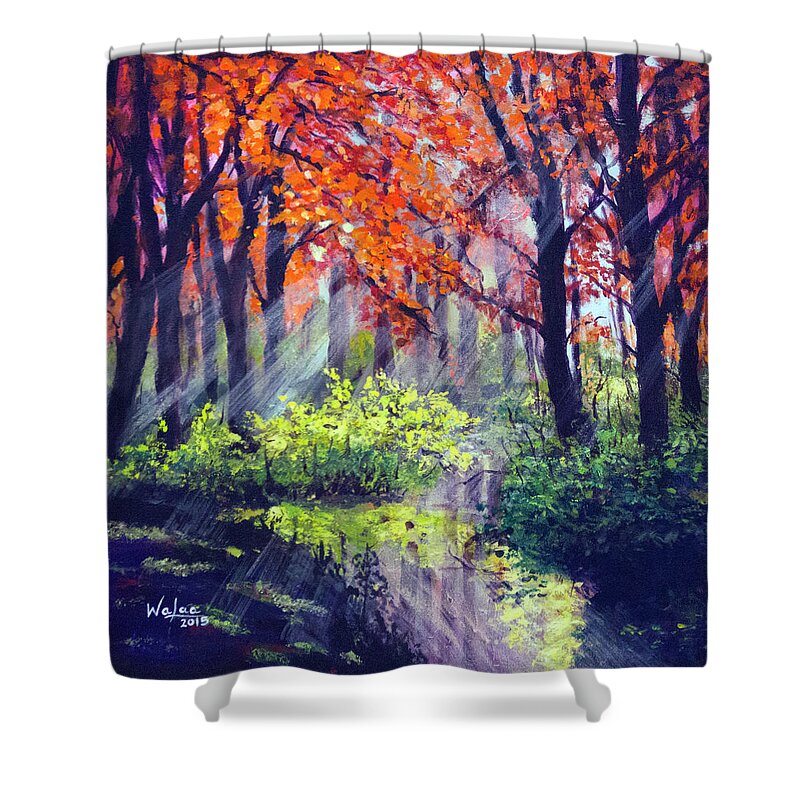 When Light Sneaks - Shower Curtain