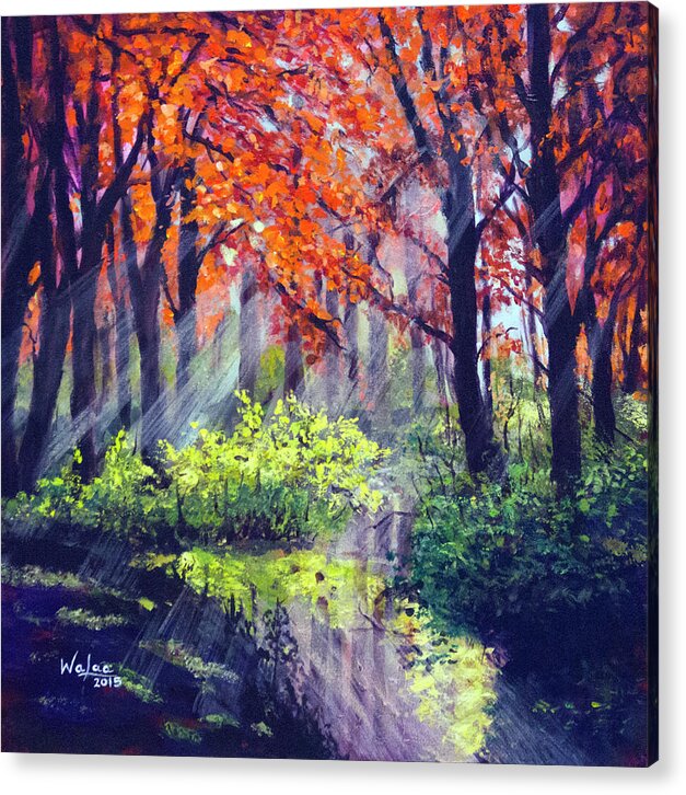 When Light Sneaks - Acrylic Print