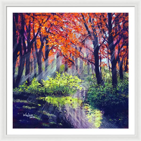 When Light Sneaks - Framed Print