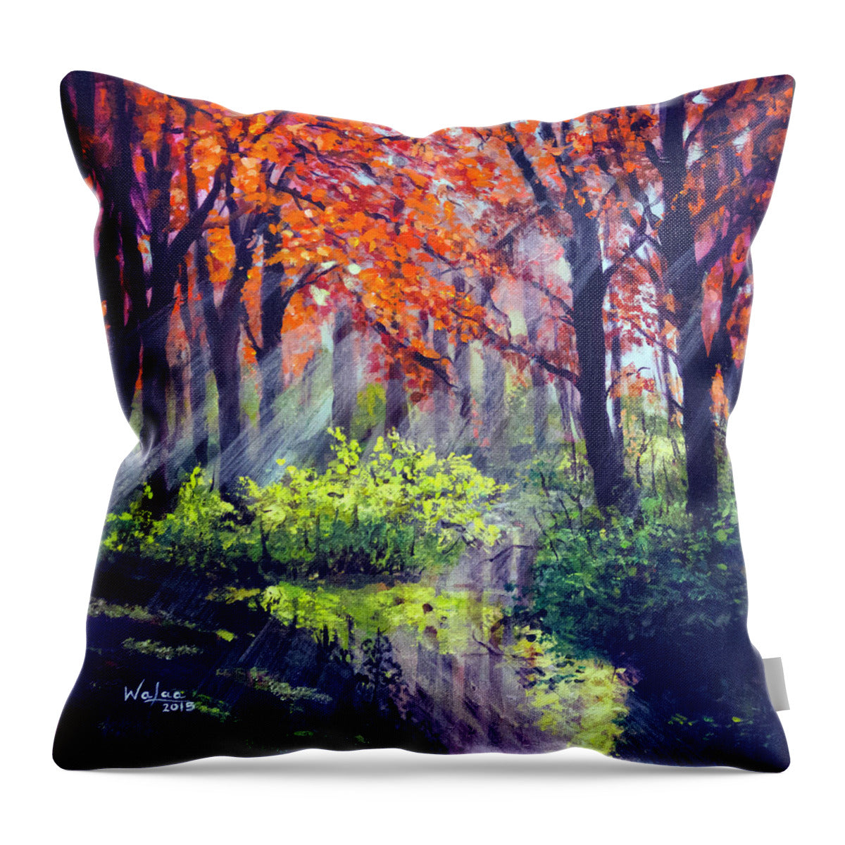 When Light Sneaks - Throw Pillow