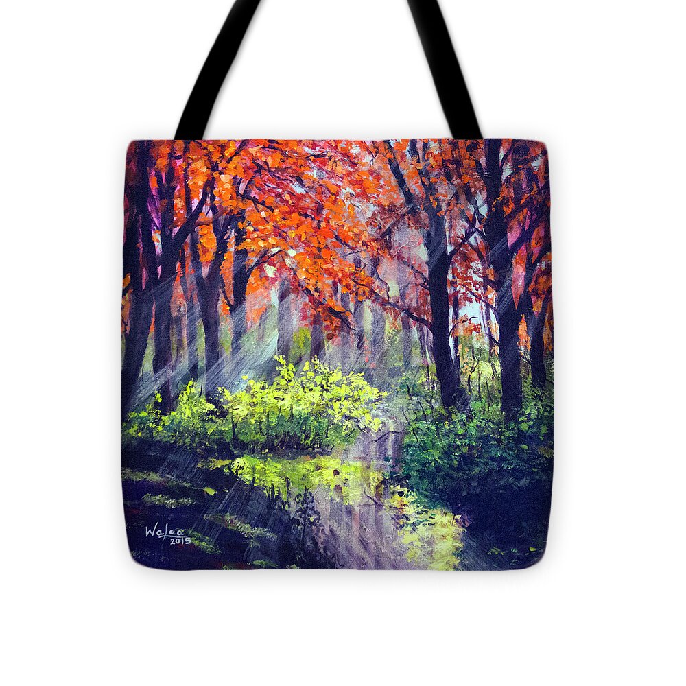 When Light Sneaks - Tote Bag