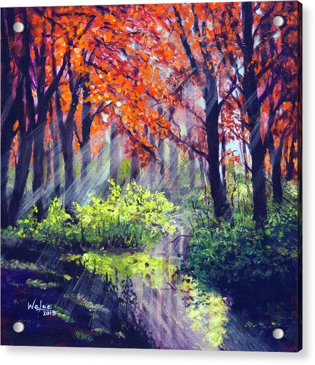 When Light Sneaks - Acrylic Print