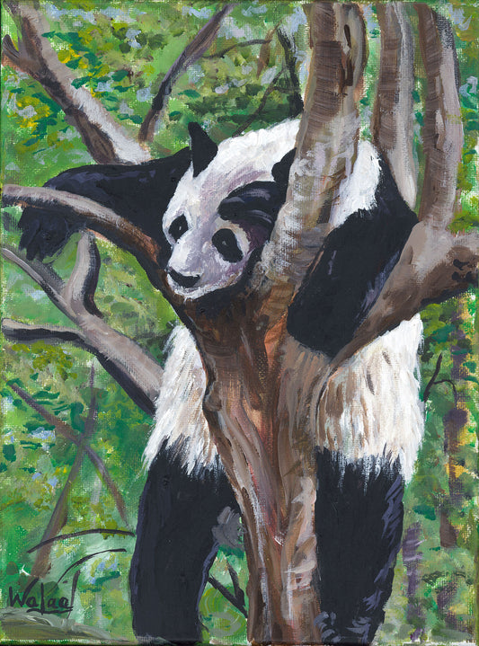 Panda Hanging in a Tree